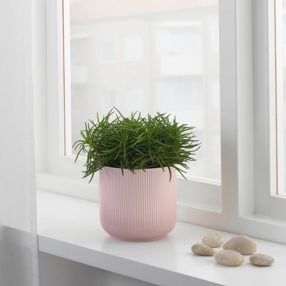 IKEA Gradvis Plant Pot - Pink - Picture 2 of 3